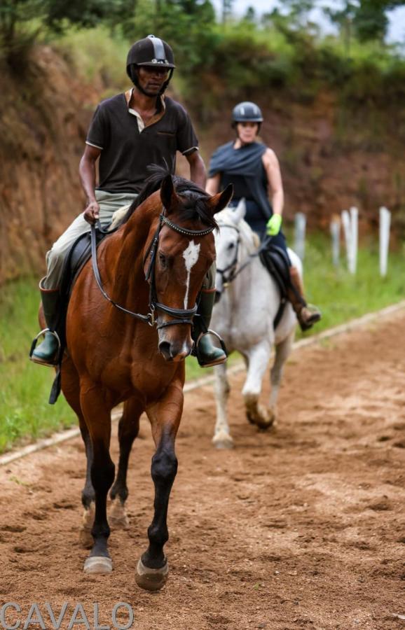 Cavalo Guesthouse & Equestrian Estate Drummond Zewnętrze zdjęcie