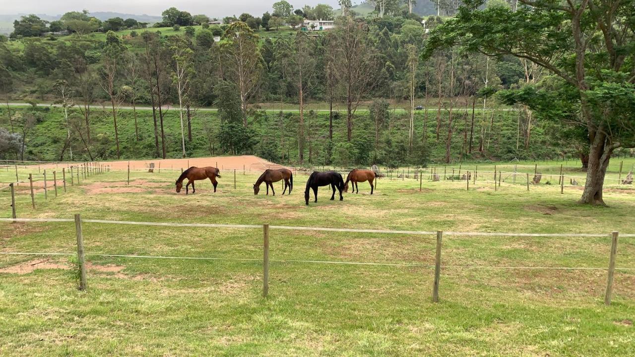 Cavalo Guesthouse & Equestrian Estate Drummond Zewnętrze zdjęcie